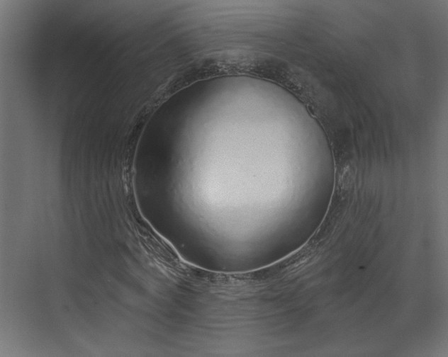 X0000073830772200608170940