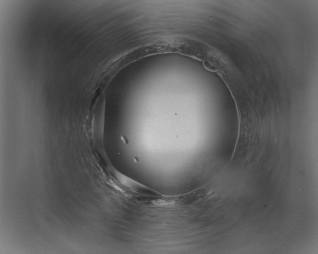 X0000073830773200608170940