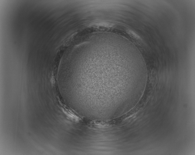 X0000073830774200608170940