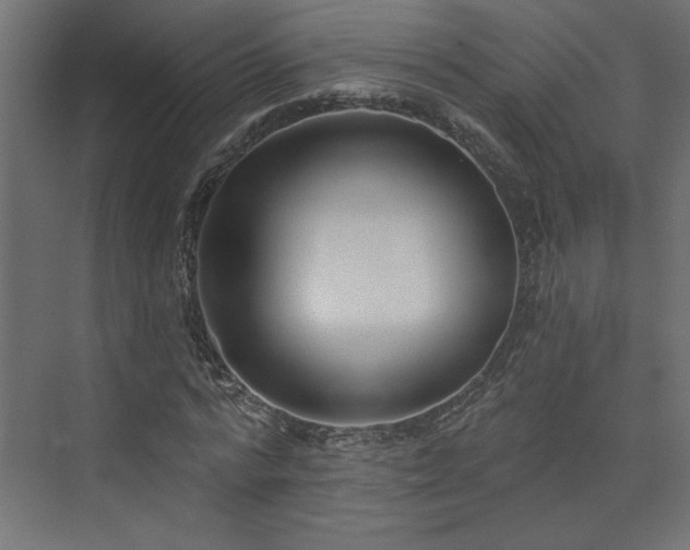 X0000073830776200608170940