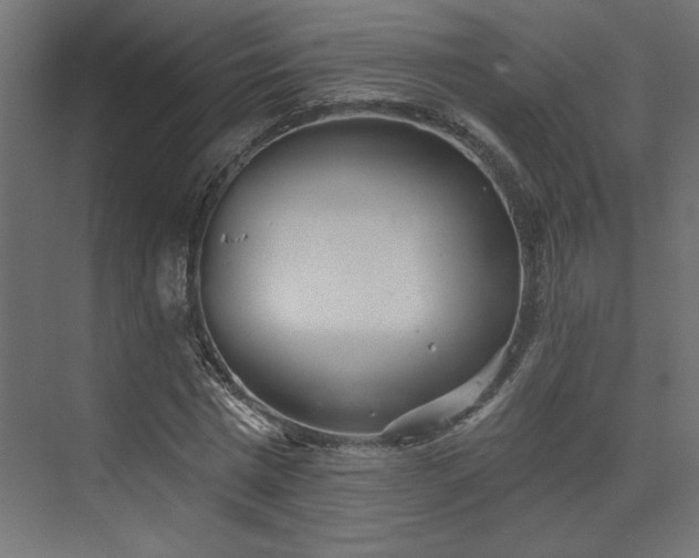 X0000073830777200608170940