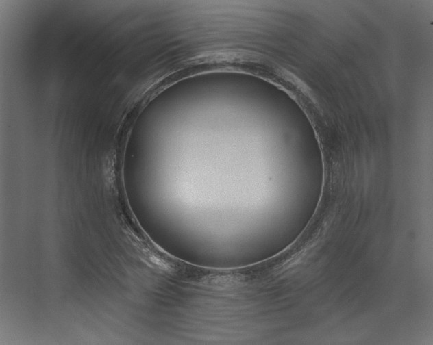 X0000073830778200608170940