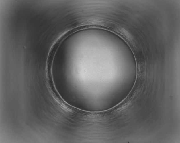 X0000073830780200608170940