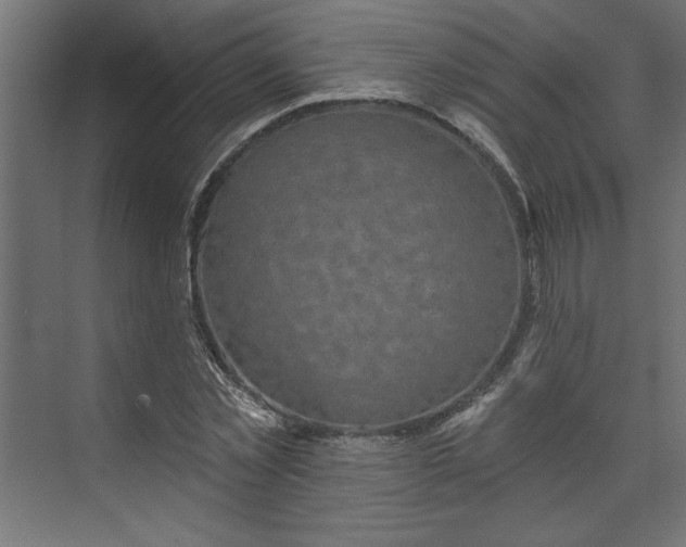 X0000073830781200608170940