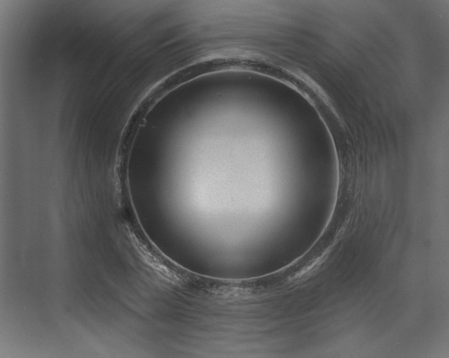 X0000073830783200608170940