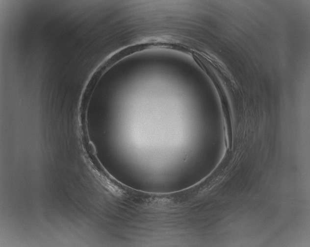 X0000073830784200608170940