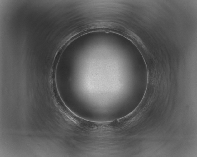 X0000073830786200608170940