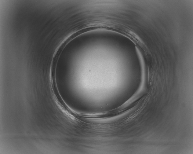 X0000073830788200608170940