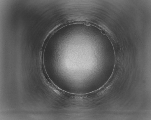 X0000073830790200608170940