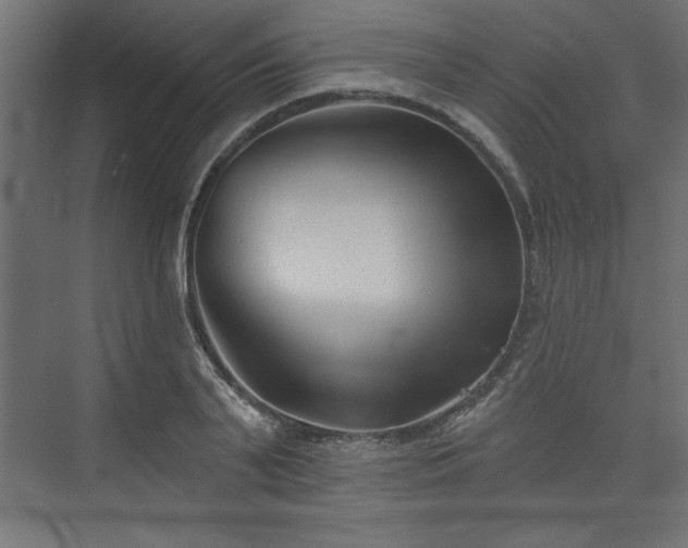 X0000073830791200608170940