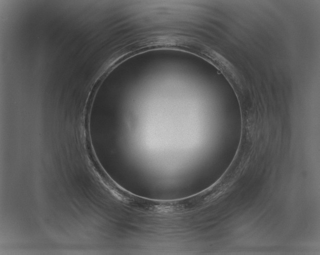 X0000073830794200608170940