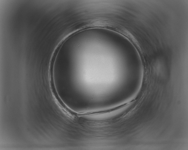 X0000073830795200608170940