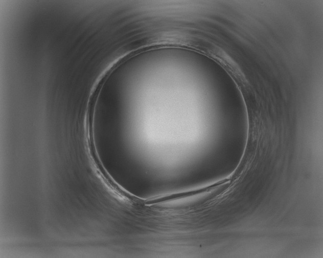 X0000073830796200608170940