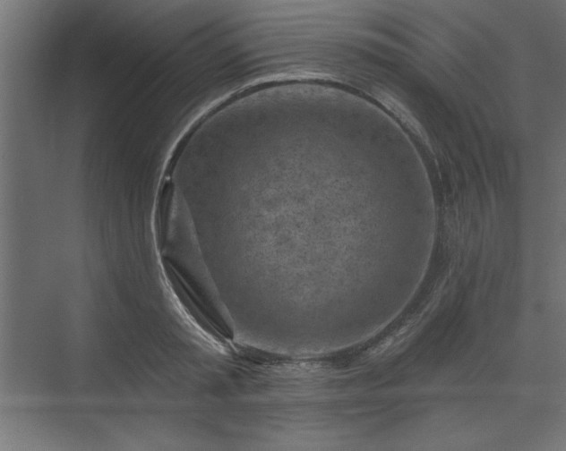 X0000073830797200608170939