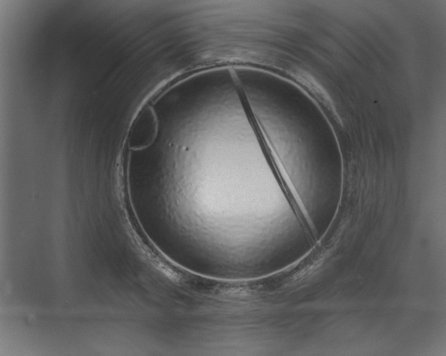 X0000073830798200608170939