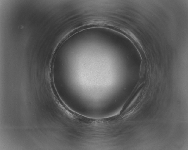 X0000073830799200608170939