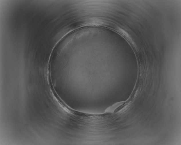 X0000073830802200608170939