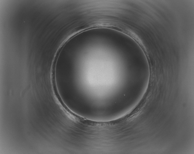 X0000073830803200608170939