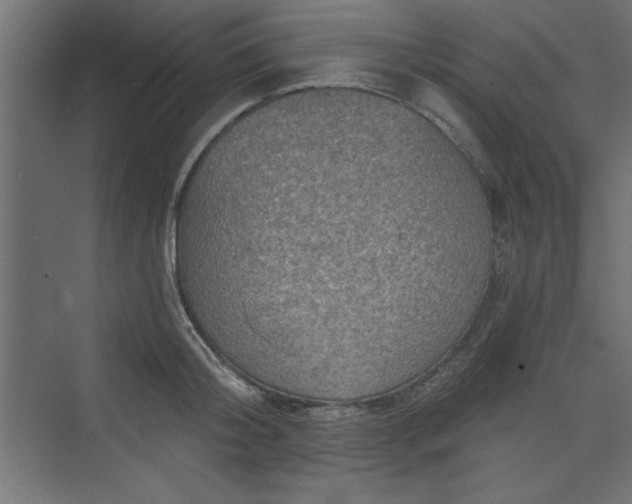 X0000073830804200608170939