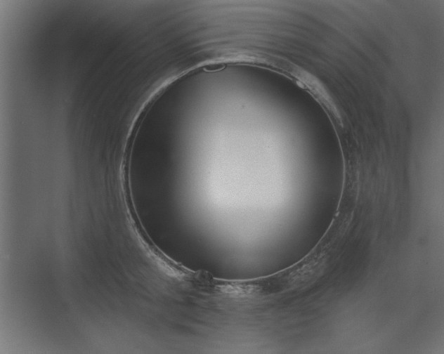 X0000073830805200608170939