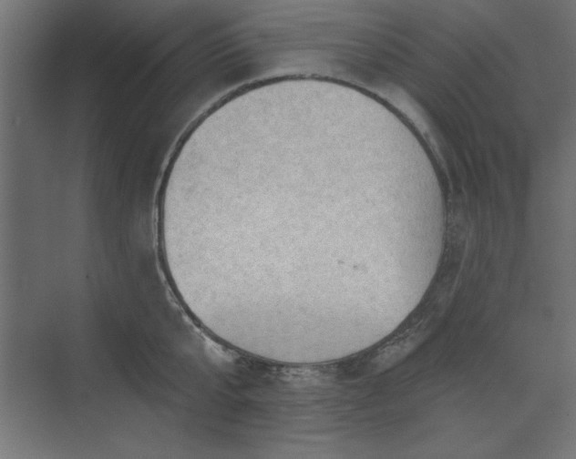 X0000073830807200608170939