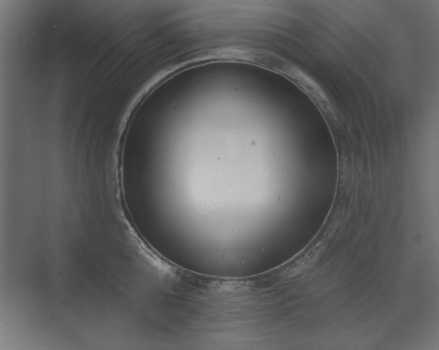 X0000073830808200608170939