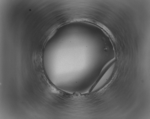 X0000073830809200608170939