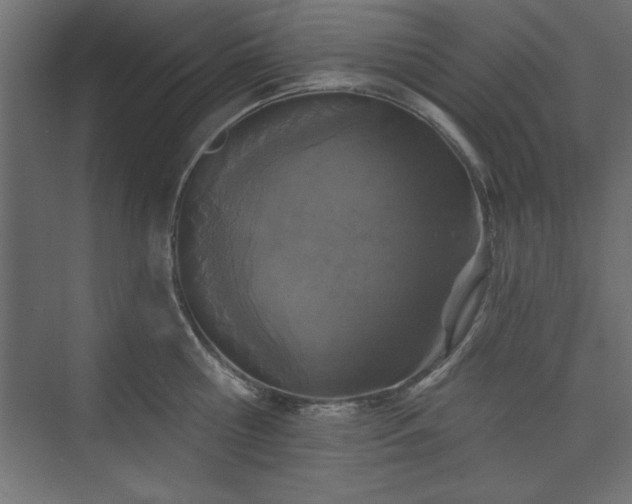 X0000073830810200608170939