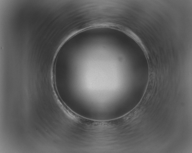 X0000073830811200608170939