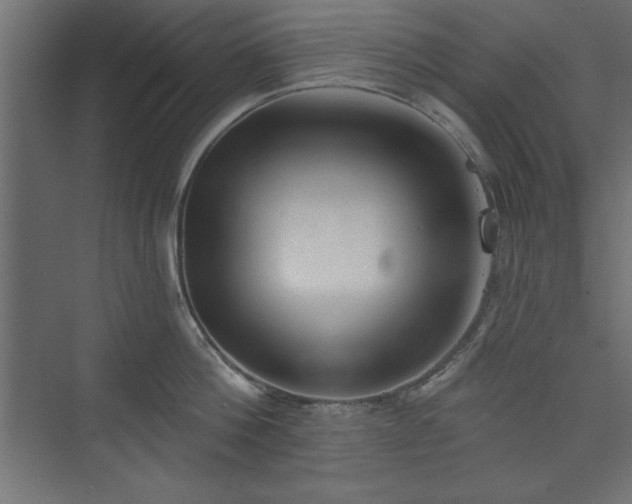 X0000073830812200608170939