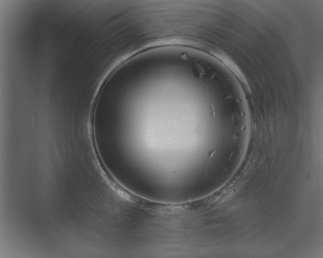 X0000073830813200608170939