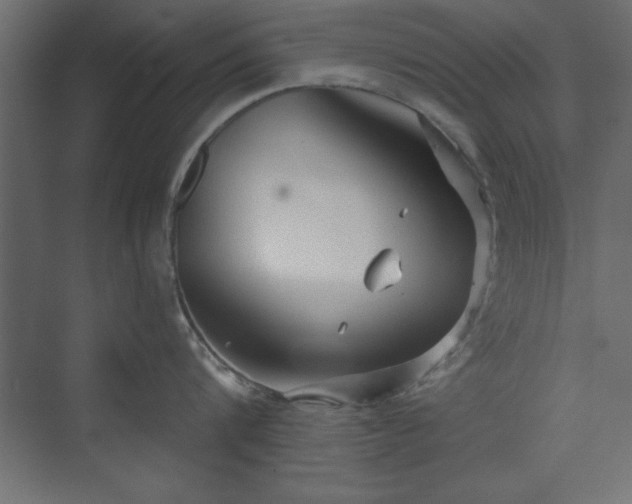 X0000073830816200608170939