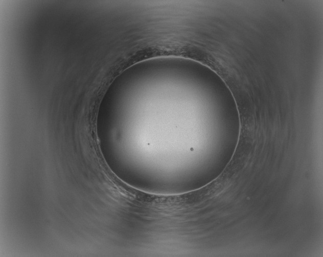 X0000073830817200608170938