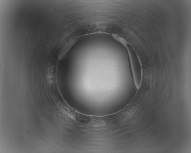 X0000073830818200608170938