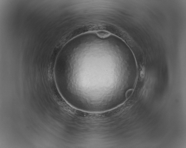 X0000073830819200608170938