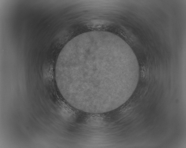 X0000073830820200608170938