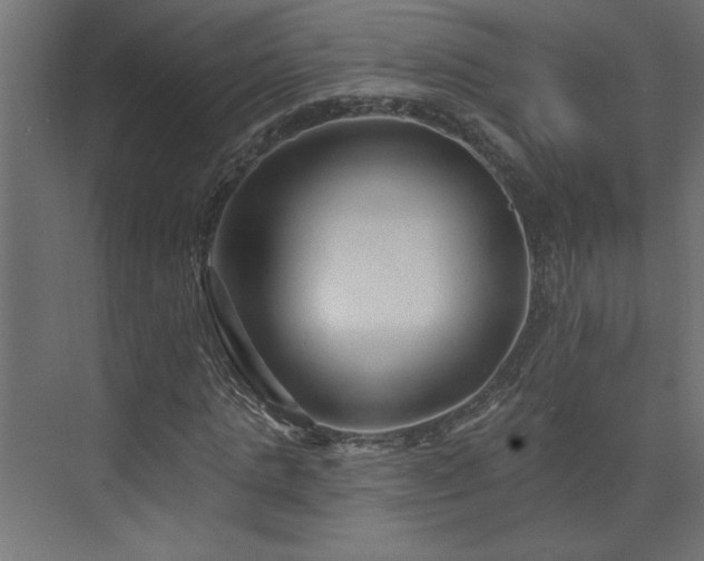 X0000073830821200608170938