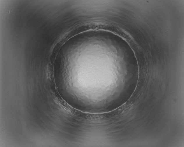 X0000073830823200608170938