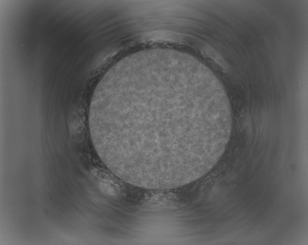 X0000073830824200608170938