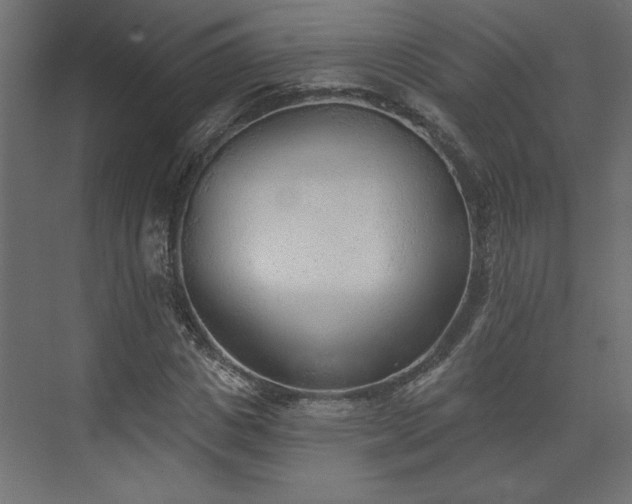 X0000073830825200608170939