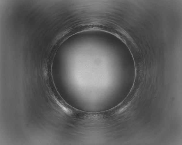 X0000073830826200608170939