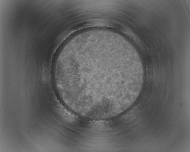 X0000073830828200608170939