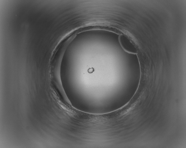 X0000073830830200608170939