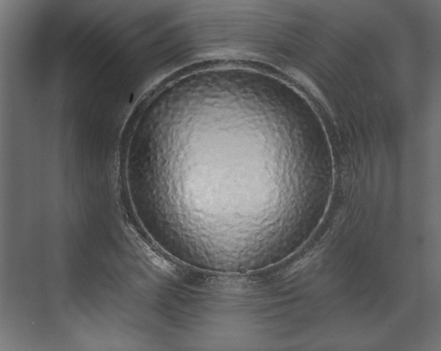 X0000073830831200608170939