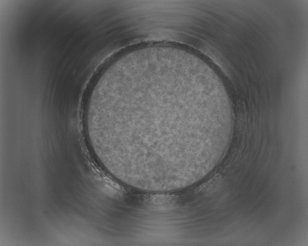 X0000073830832200608170939