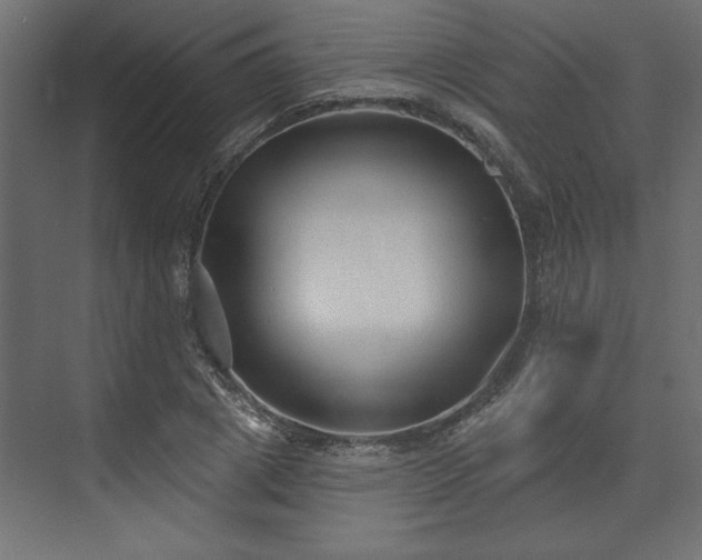 X0000073830833200608170939