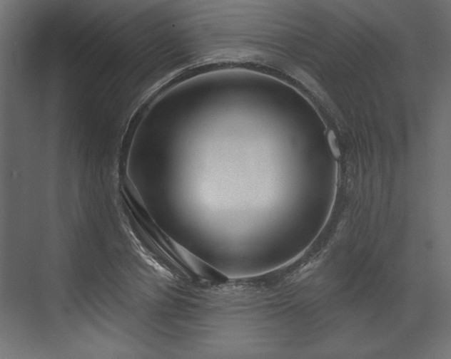 X0000073830834200608170939