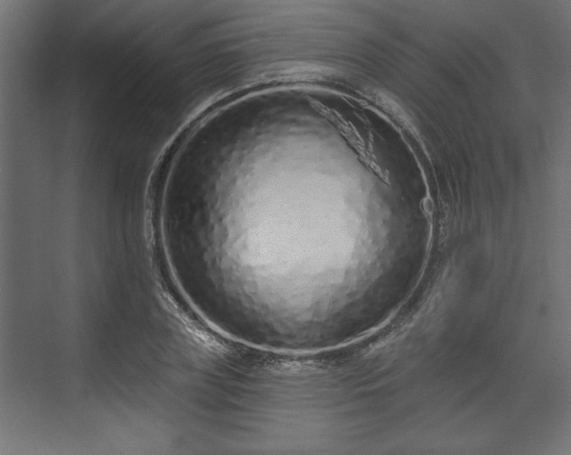 X0000073830835200608170939