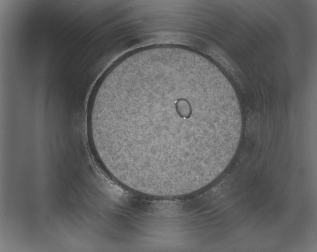 X0000073830836200608170939