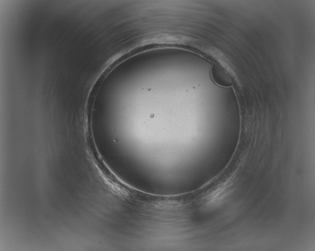 X0000073830837200608170939